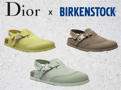 dior bitkenstock|Dior Birkenstock clogs.